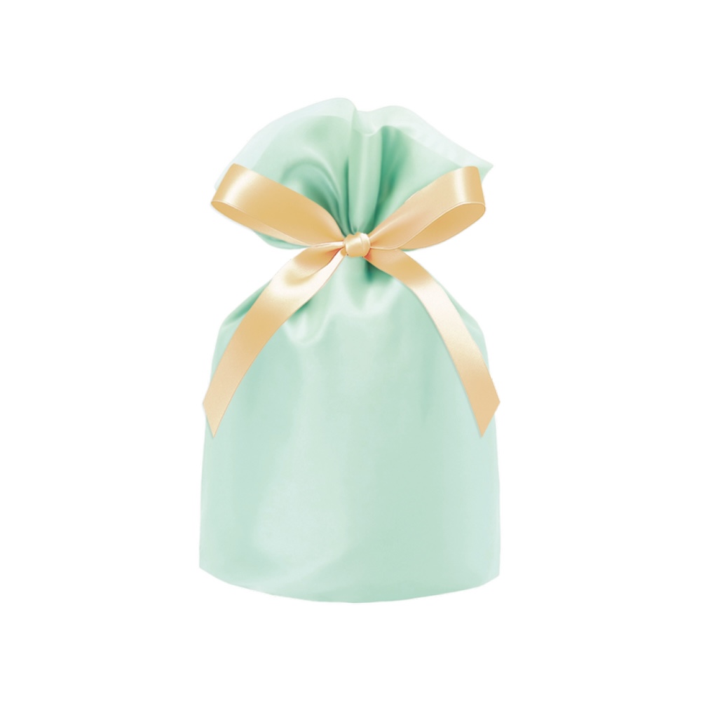 オーガンジーバッグ ブルー 150