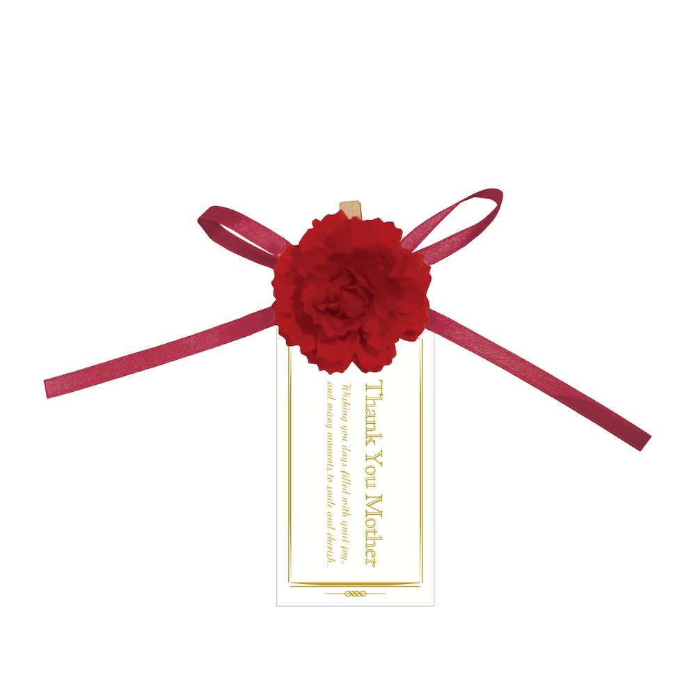 クリップ カーネーション レッド