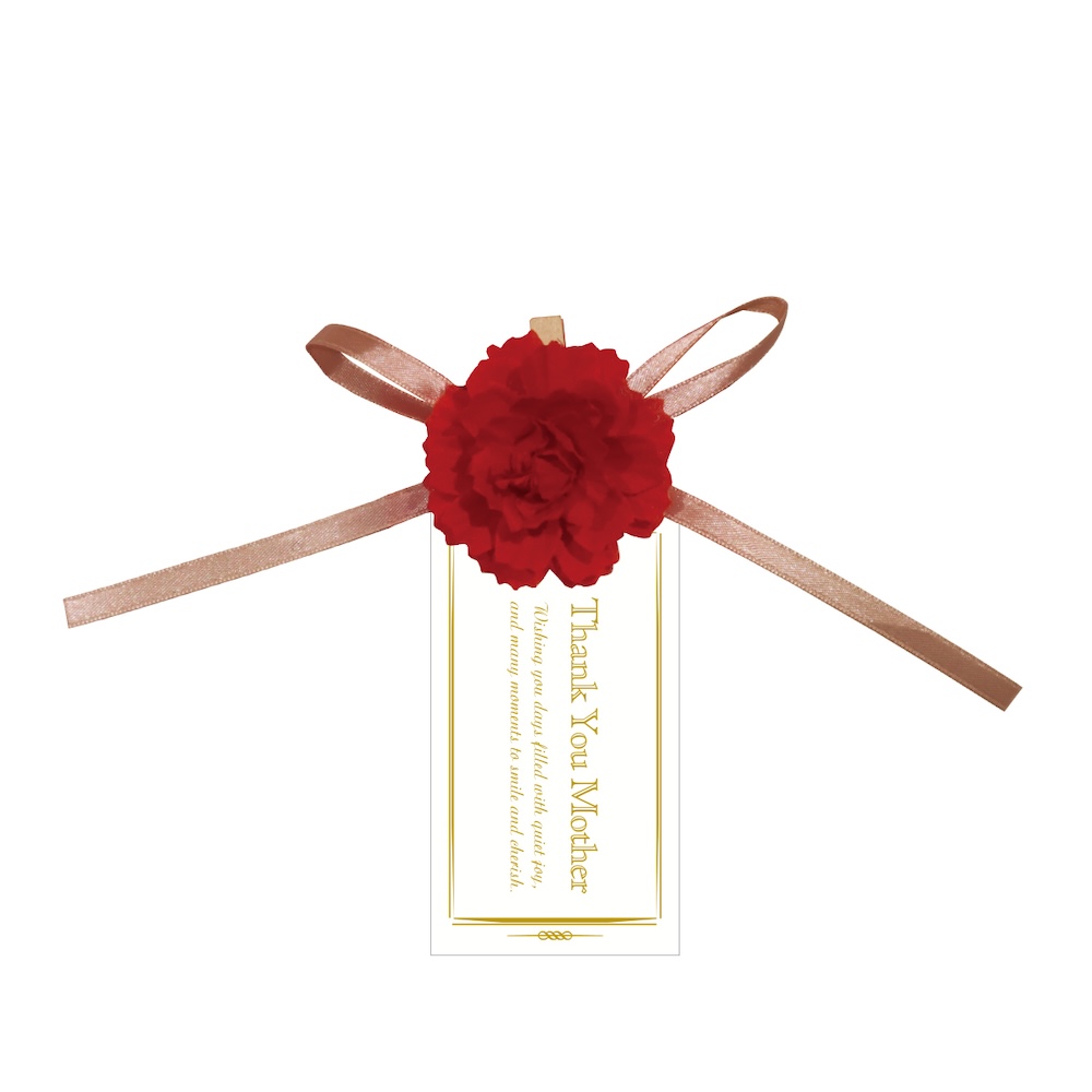 クリップ カーネーション ピンク