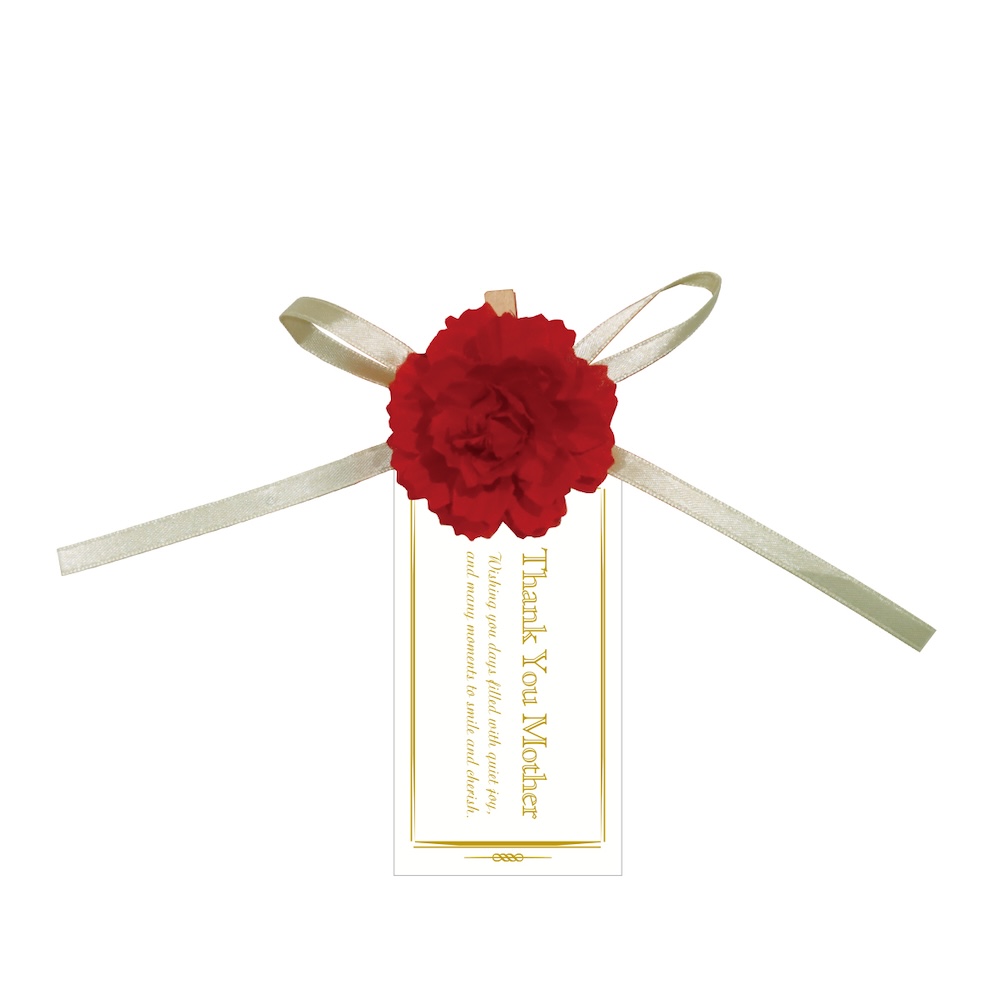 クリップ カーネーション ホワイト